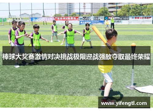 棒球大奖赛激情对决挑战极限迎战强敌夺取最终荣耀