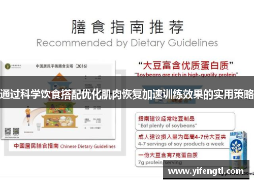 通过科学饮食搭配优化肌肉恢复加速训练效果的实用策略
